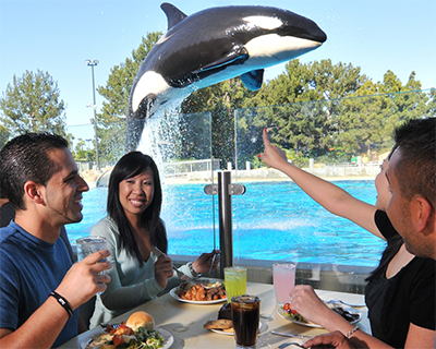 Blue Friday Dine With Orcas