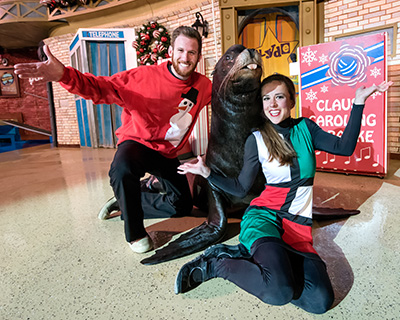 Christmas Celebration Sea Lion Show