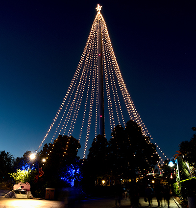 Christmas Celebration Skytower Tree