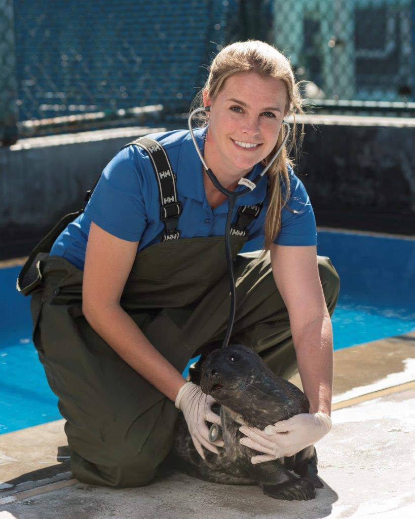 SeaWorld San Diego Blog