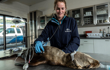 SeaWorld San Diego Blog