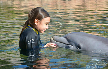 Blog Amazing Adaptations of Ocean Animals