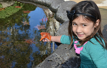 Blog - What is a Tide Pool?