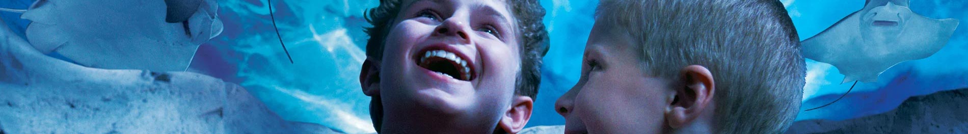 School field trips to SeaWorld San Diego