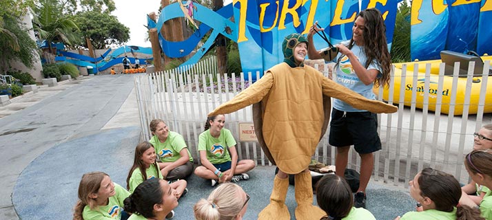 Educational group trips to SeaWorld San Diego