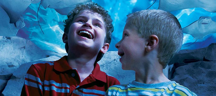 School field trips to SeaWorld San Diego