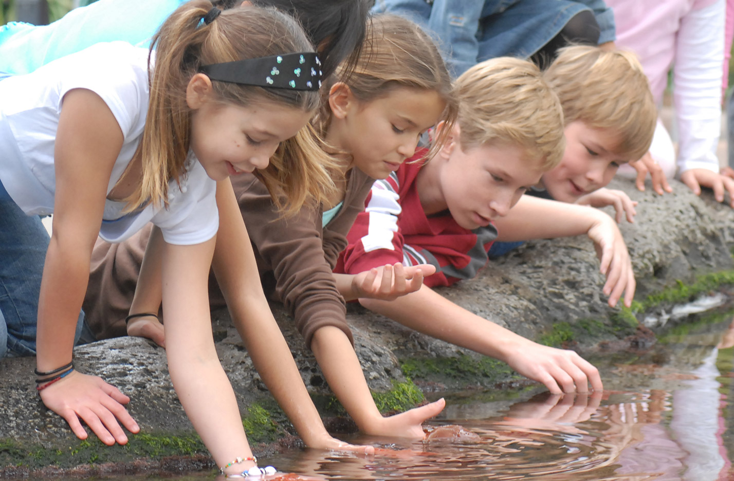 K through 12 School Programs