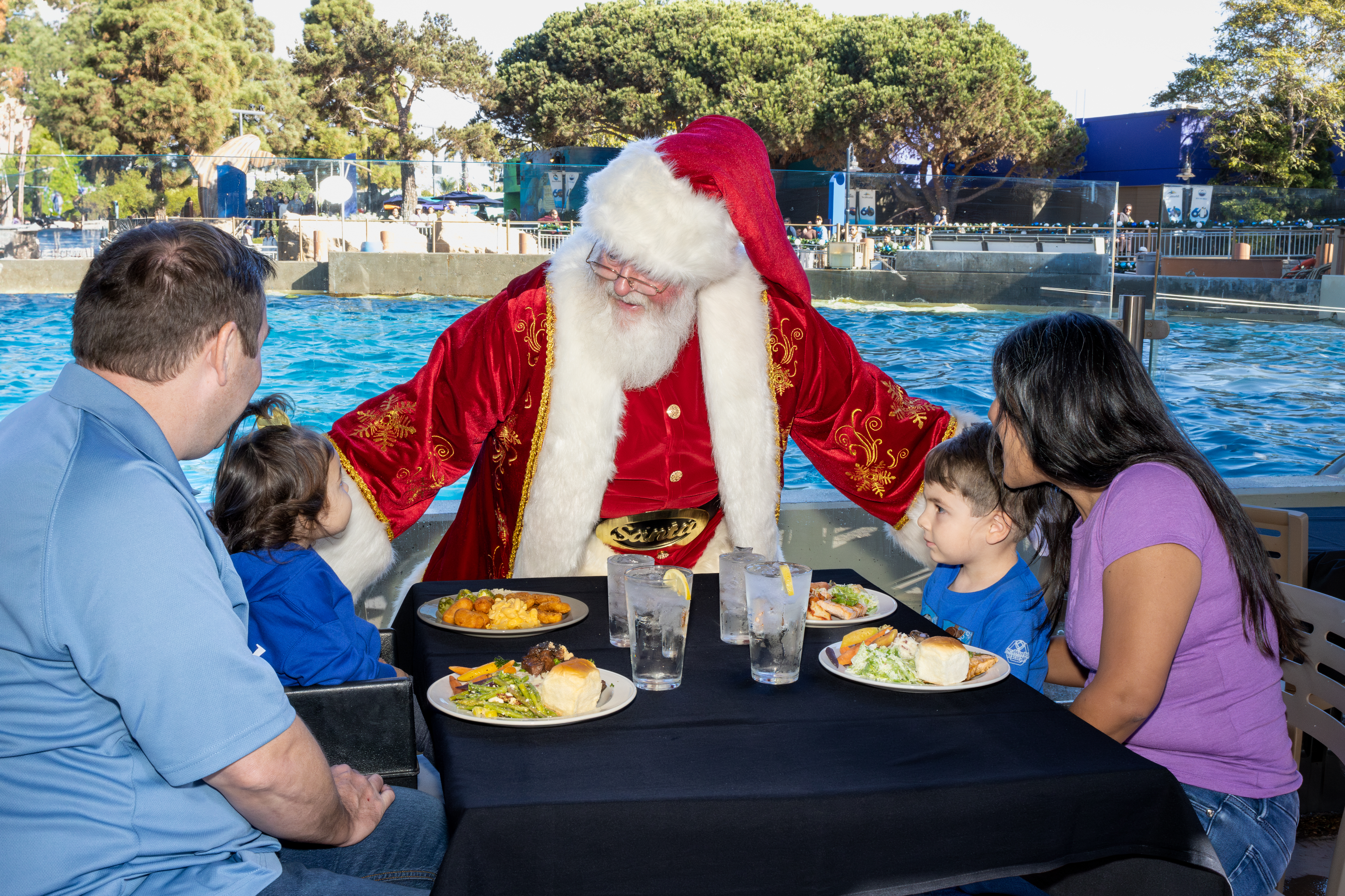Dine with Orcas and Santa