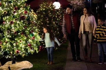 See a peek of Christmas Celebration at SeaWorld San Diego