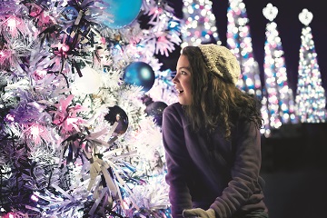 Christmas Celebration at SeaWorld San Diego