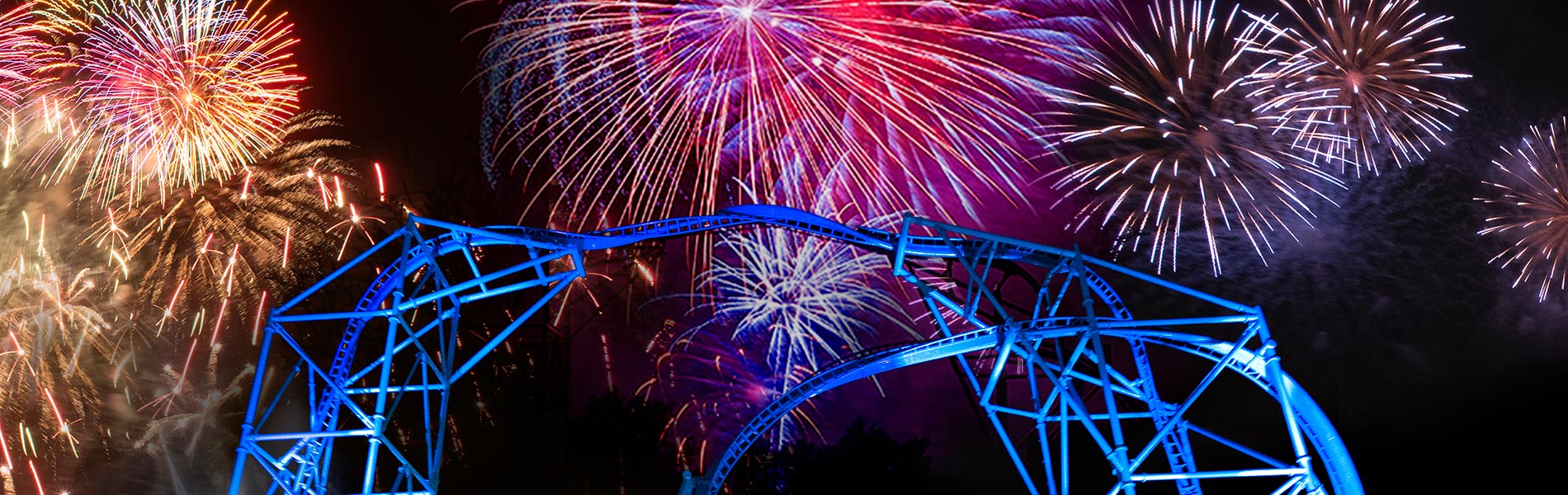 Fireworks above SeaWorld San Diego Electric Eel