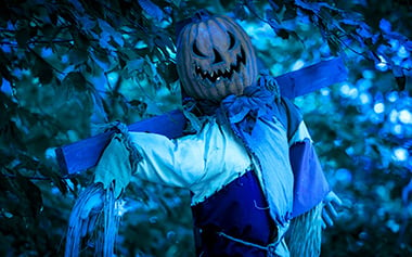 All Hallows Harvest scarecrow