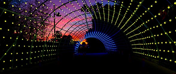 Tunnel of Lights during SeaWorld Mardi Gras