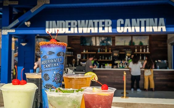 Underwater Cantina bar at SeaWorld San Diego