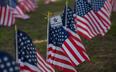 Veteran's Day Weekend