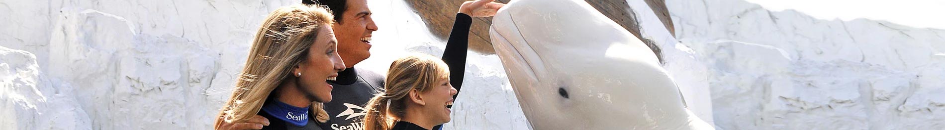 Beluga Interaction Program