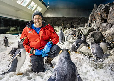 Penguin Experience at SeaWorld San Diego
