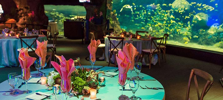 Corporate event venues at SeaWorld San Diego