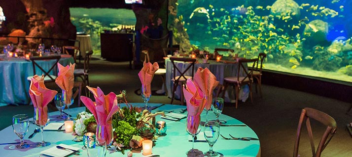 Corporate event venues at SeaWorld San Diego
