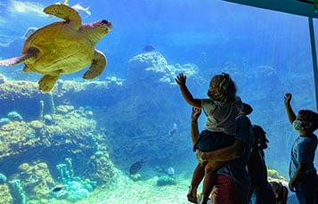 Camps and education at SeaWorld San Diego