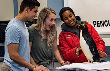 Tours and Experiences at SeaWorld San Diego