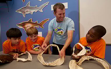 Product Image Day Camp Holy Mackerel