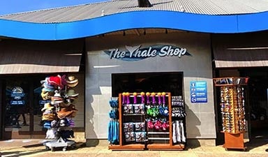 Whale Shop
