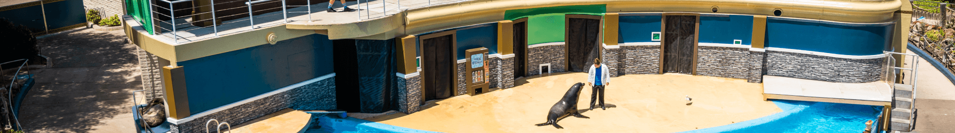 Sea Lion and Otter Spotlight stage at SeaWorld San Diego