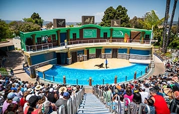 Sea Lion and Otter Spotlight stage at SeaWorld San Diego