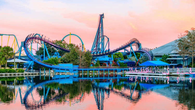 Mako roller coaster at sunset