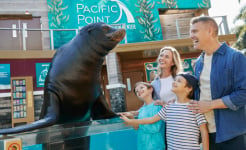 Family meeting and taking a photo with a Sea Lion