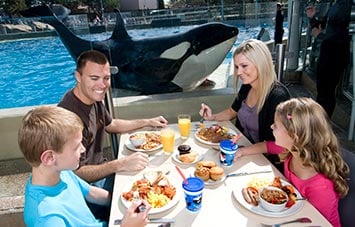 Breakfast with Orcas